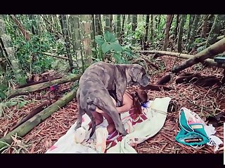 Forest For The Wicked Trailer