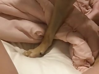 Sexy Girl Has Dog Lick Pussy