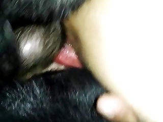 Double Penetration By 2 Dogs