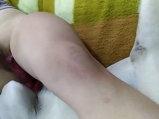 Sexy Latina Girl Have Sex With Dog