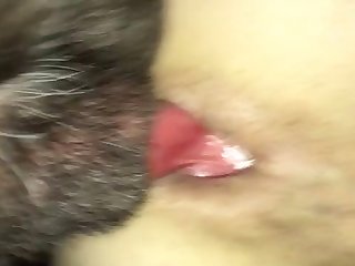 Owner Takes The Knot And Buddy Sucks The Dog Dick Clean