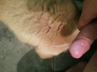 Licking Dick And Cumming Hard