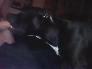 Doggy Deepthroat