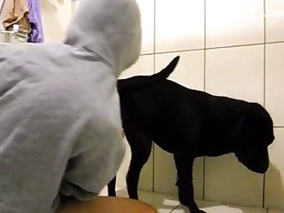 Gay Male Sucks Dog Cock In A Homemade Animal Xxx Video