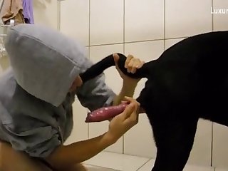 Gay Male Sucks Dog Cock In A Homemade Animal Xxx Video