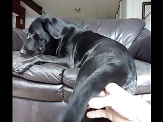 Alukzy Llab Anal Finger Play