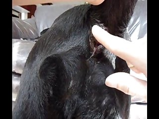 Alukzy Llab Anal Finger Play