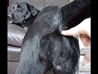 Alukzy Llab Anal Finger Play