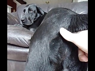 Alukzy Llab Anal Finger Play
