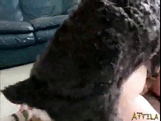 Huge Boobs Asian