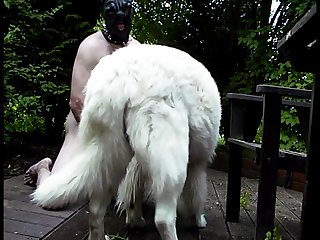 Trying To Follow Red Crow Who Would Show Me The Way