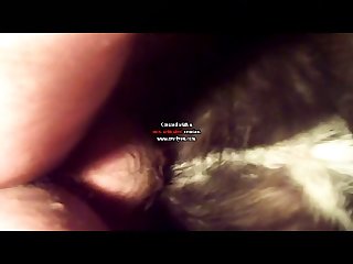 Animal Sex Movis
