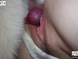 Dog Licked My Vagina