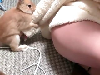 Zoob Tube