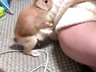 Zoob Tube