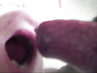 Is Animal Porn Real