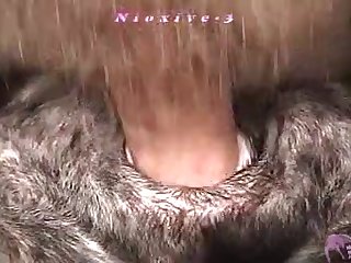 Aggressive Riding Porn