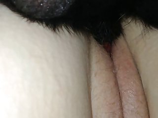 Original Animal Crossing Porn