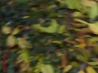 Shocking Animal Porn