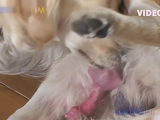 Silvia Burton Animal Porn