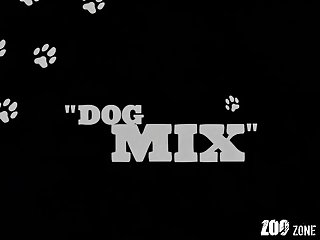 Man Fucks Animal Porn Videos