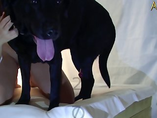 Porn Animal Sucking