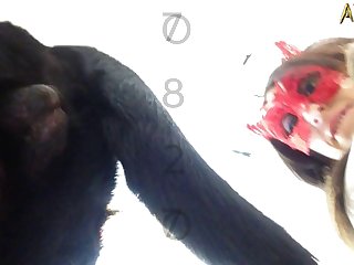 Porn Animal Sucking