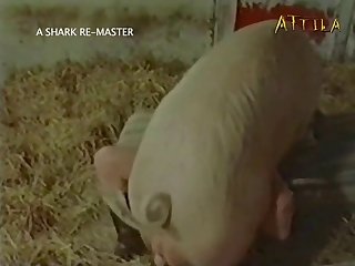 Human To Animal Porn