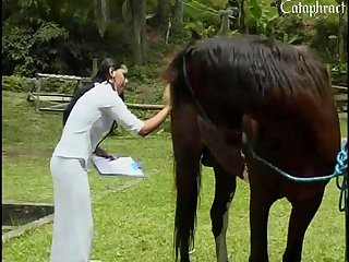 Human Male Female Animal Porn