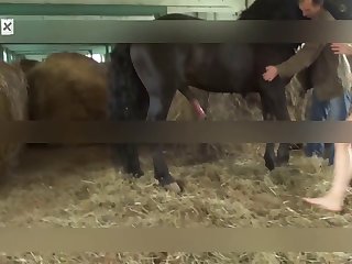 Fucking My Animal Porn