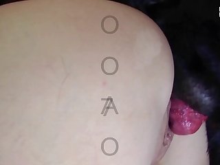 Stuffed Animal Fart Porn