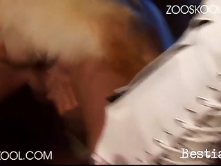 Zoo Sex Reaction