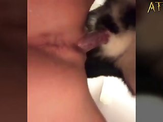 Porn Zoo Girls