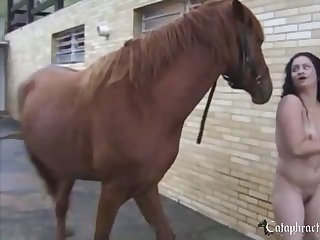 Xvideos Zoofilia
