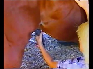 Extreme Free Porn Site