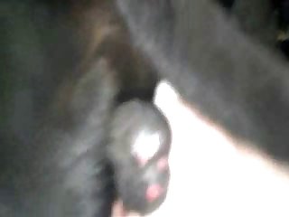 Extreme Orgasim Porn