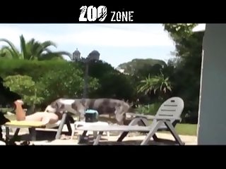 Extreme Scat Couple Porn