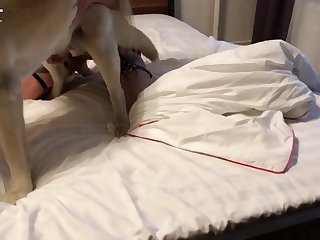 Extreme Small Pussy Porn