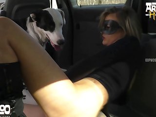 Dog Porn