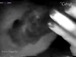 Is Pig The Dirtiest Animal