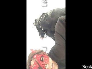 Dog Watch Sex Offender