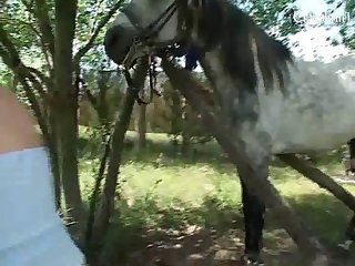 Forced Sex Animal