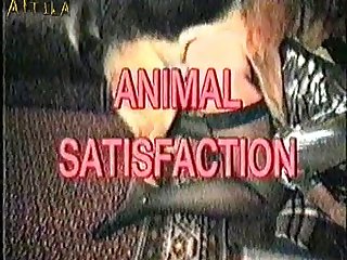 Anal Animal Sex Video