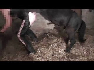Ai Animal Porn