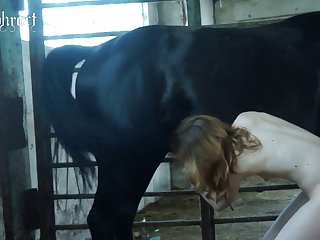 Anime Porn Animal