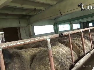 Breastfeed Animal Porn