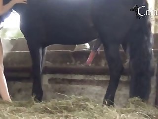 Female Animal Porn