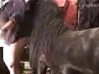 Animal Orgasm Porn