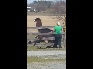 14.lama Fucking Goat