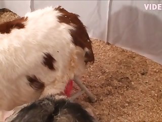 Bbw Big Tit Stars Porn Xxx